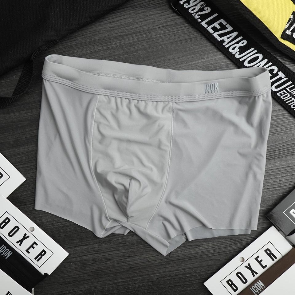 Boxer New Icon