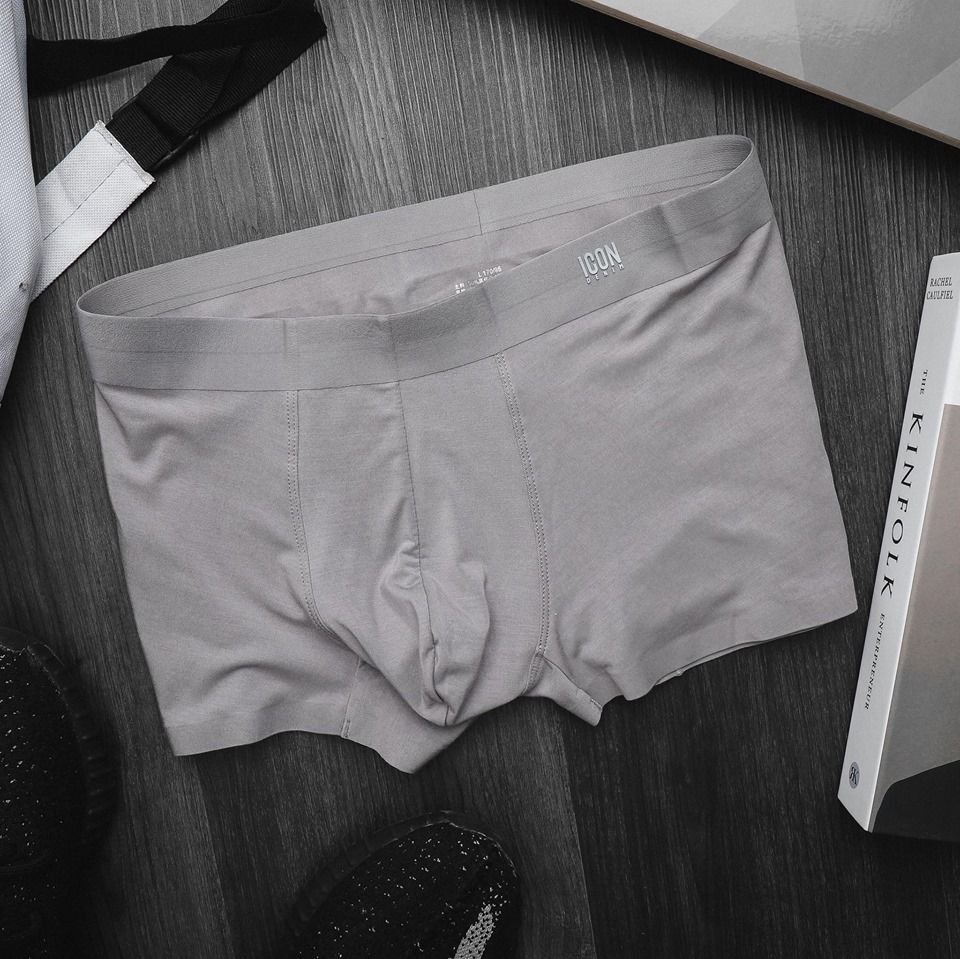 Boxer Modal Icon