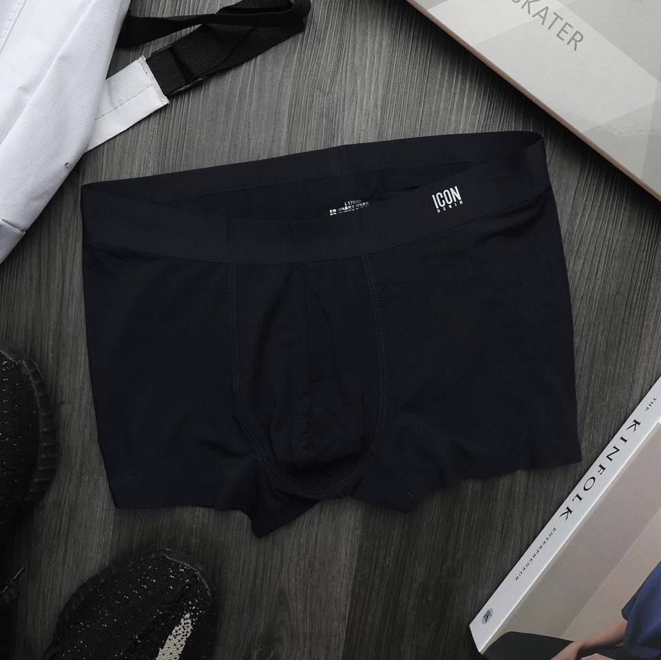 Boxer Modal Icon