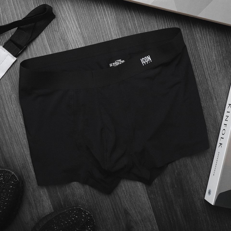 Boxer Modal Icon