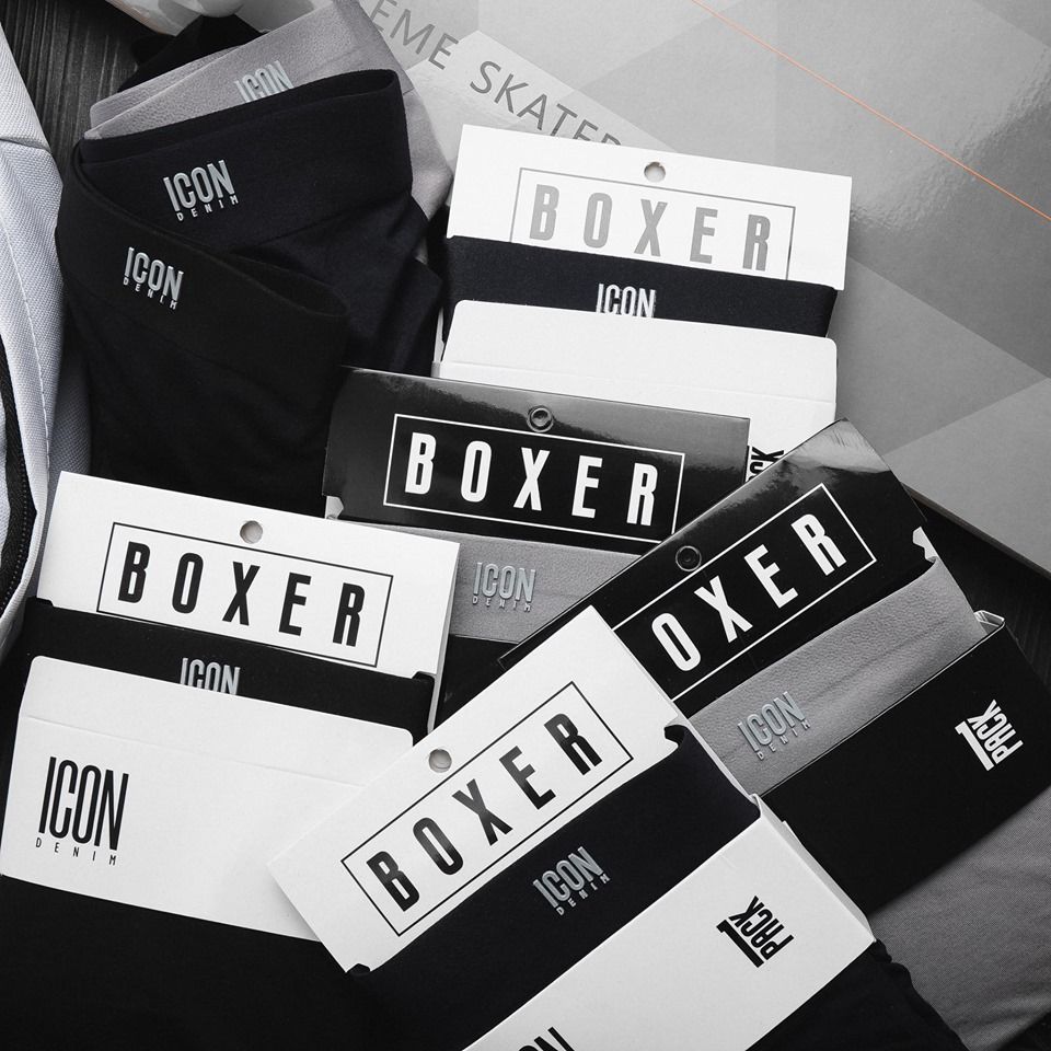 Boxer Modal Icon