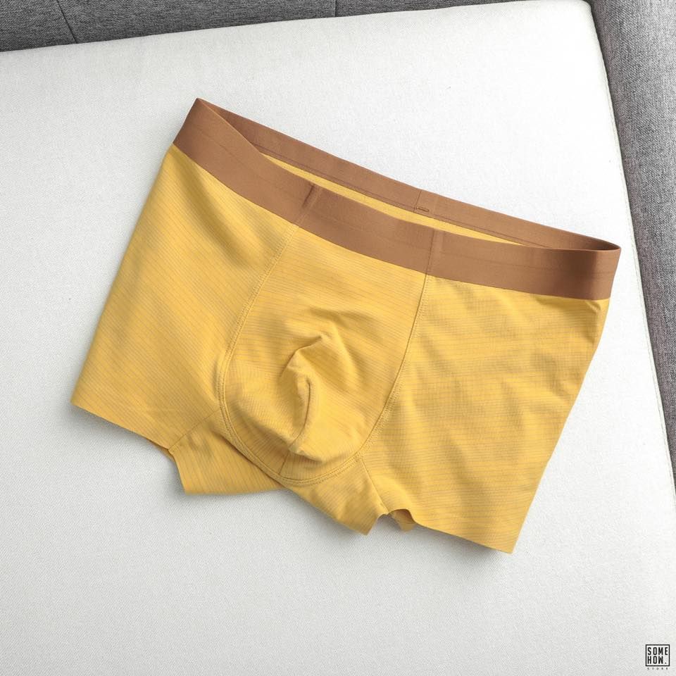 Boxer Kẻ 6M