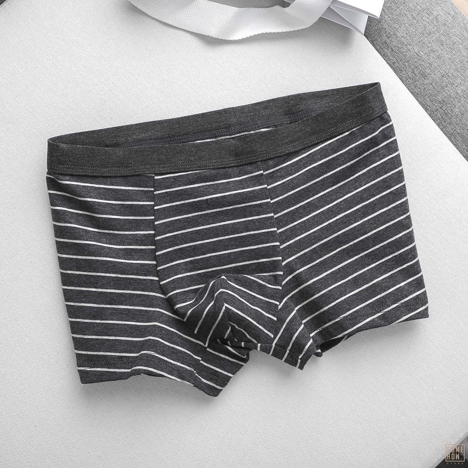 Boxer Sọc 5M
