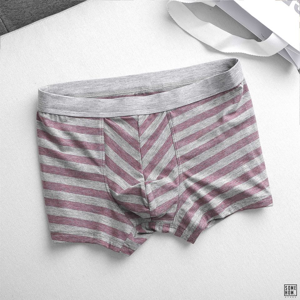 Boxer Sọc 5M