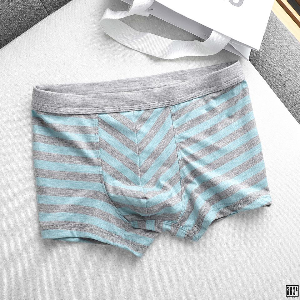 Boxer Sọc 5M