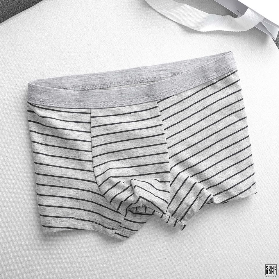 Boxer Sọc 5M