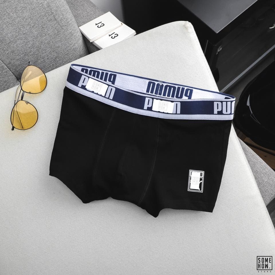 Boxer P.Ma
