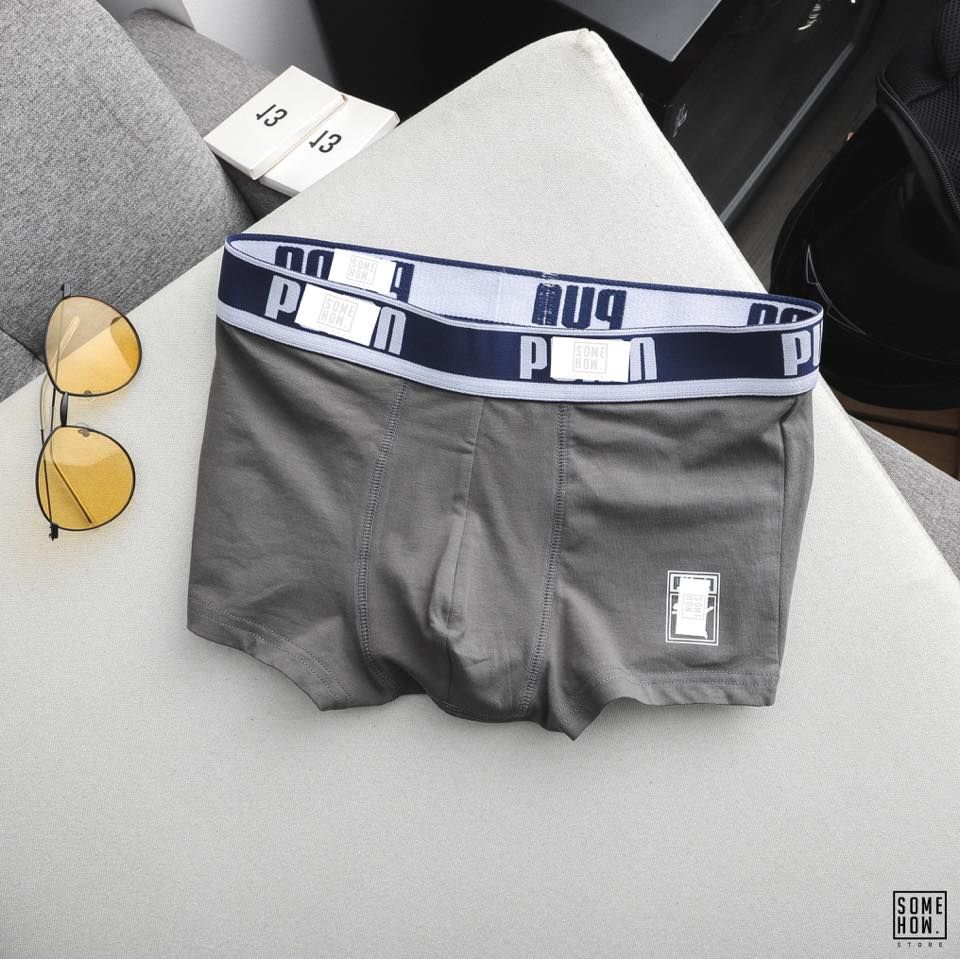 Boxer P.Ma