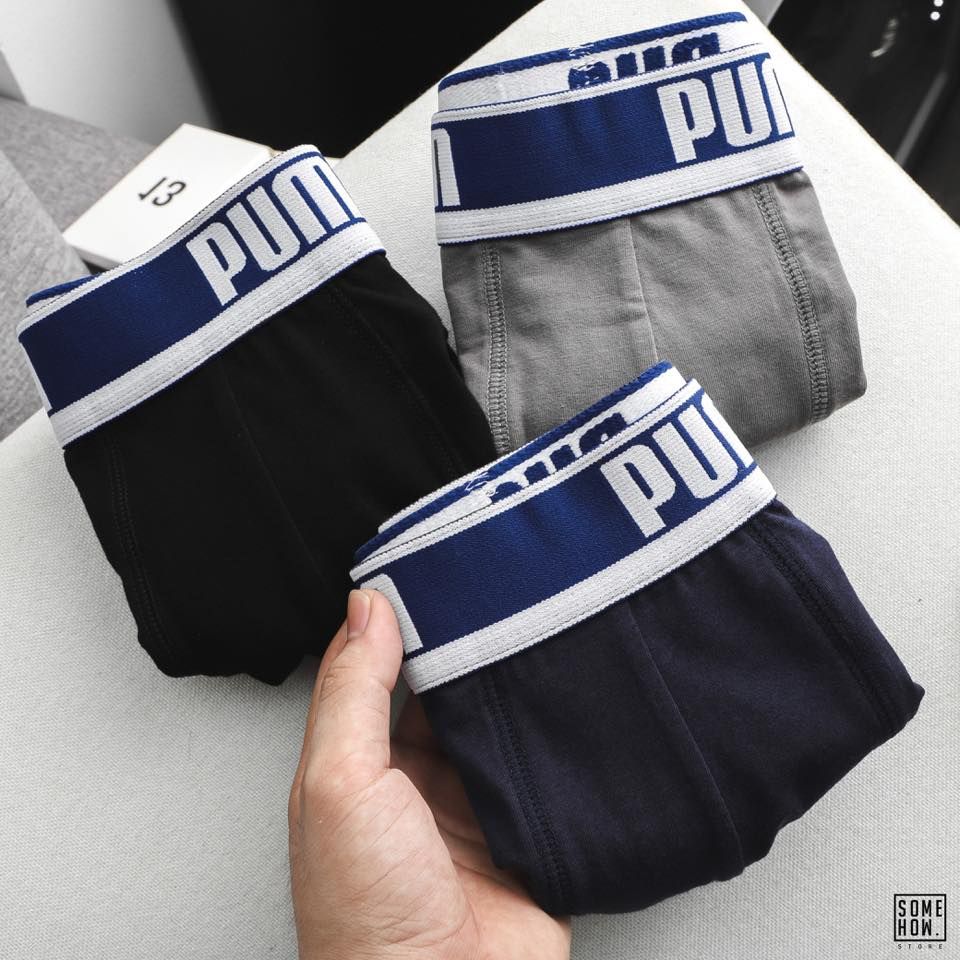 Boxer P.Ma