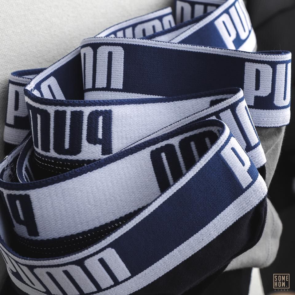 Boxer P.Ma