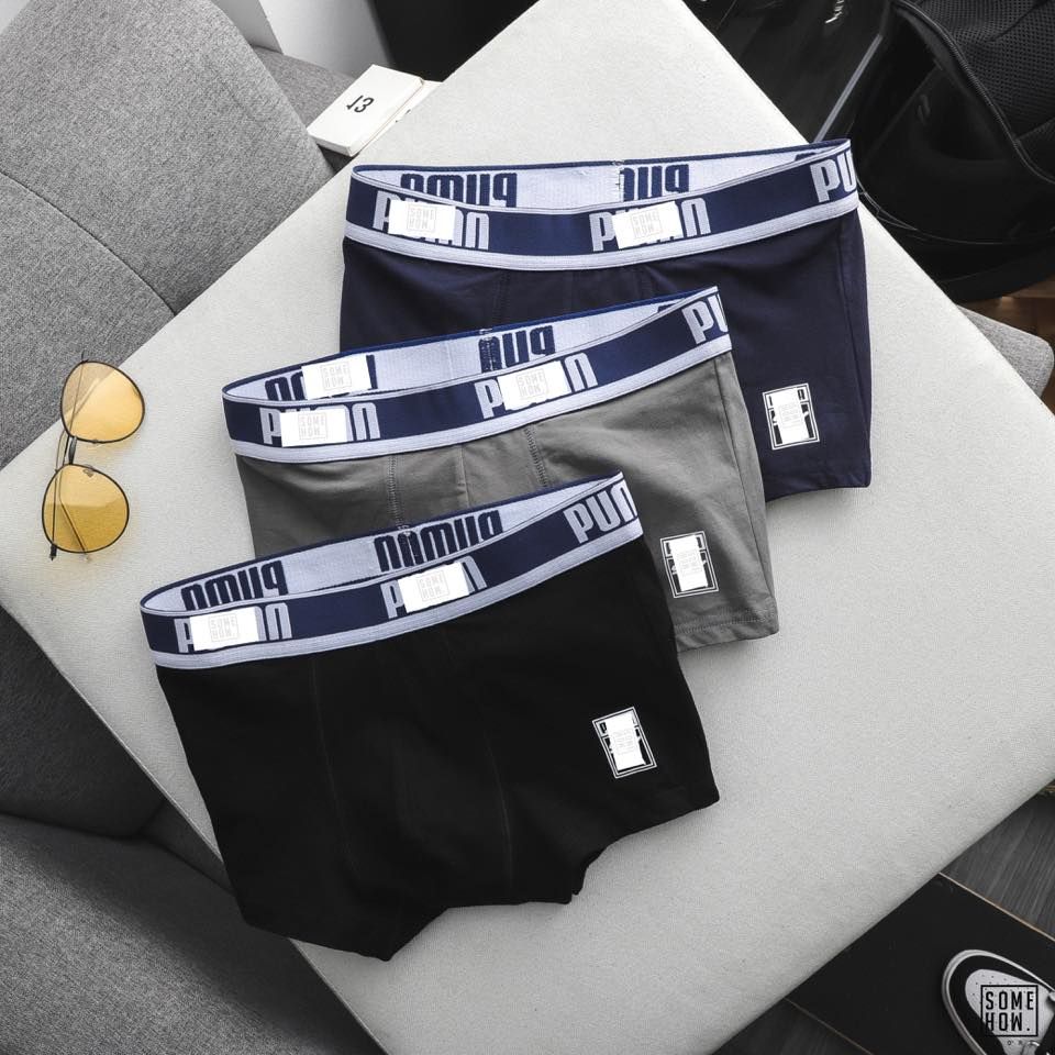 Boxer P.Ma