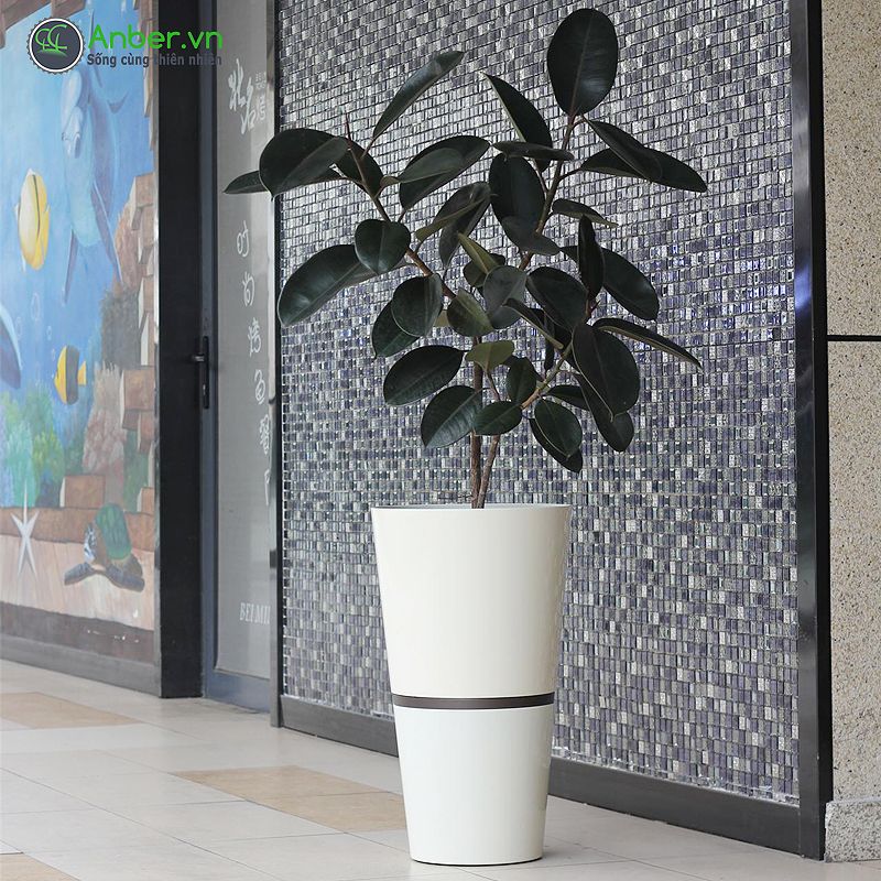 Chậu cây cao cấp Helsinki + Tự tưới AWS