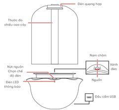 Chậu trồng sen đá thông minh Anber SL01