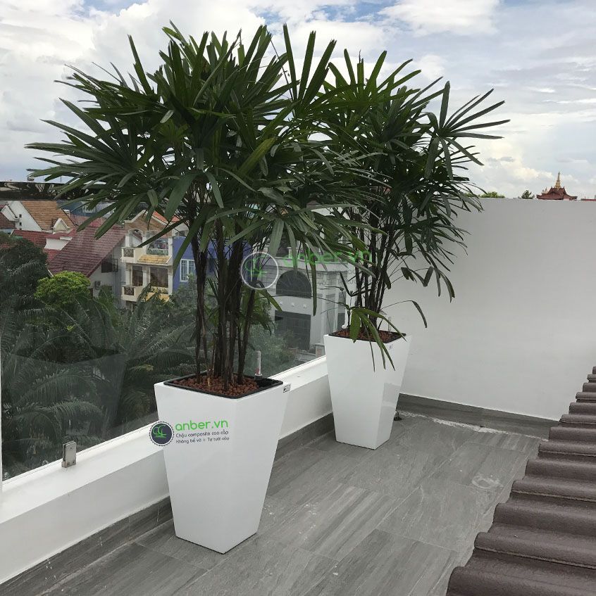 Chậu composite cao cấp Anber 1012 (Trắng bóng)