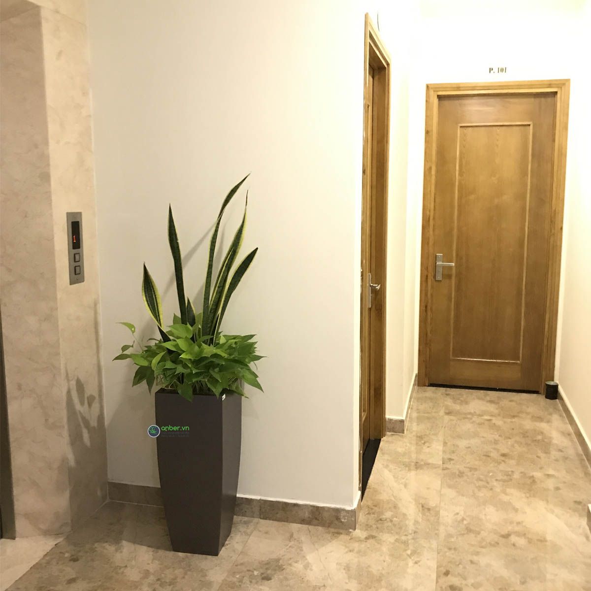 Chậu composite cao cấp Anber 1025