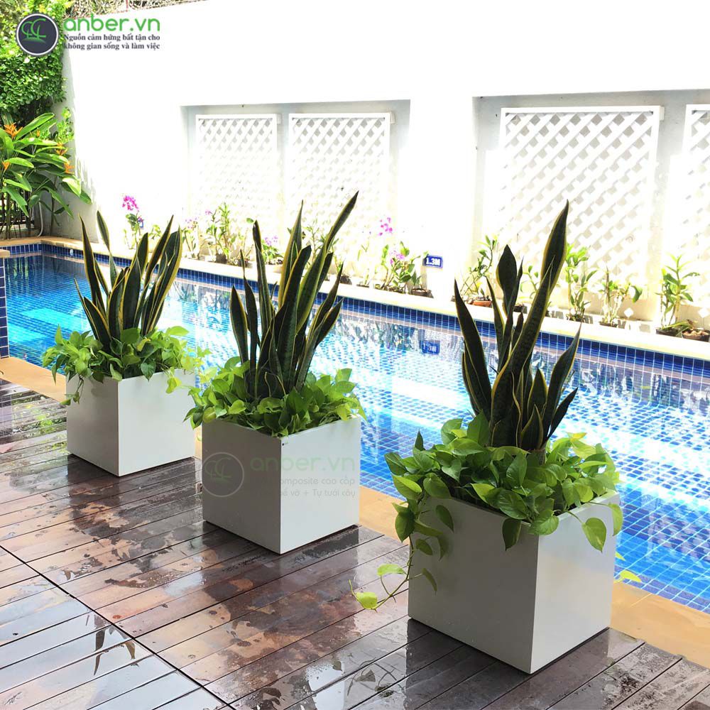 SALE Chậu composite cao cấp Anber 1055 (Trắng bóng) W40XH40cm