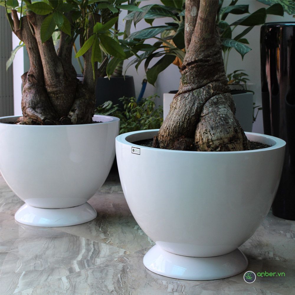 Chậu composite cao cấp Anber 1681 (Trắng bóng)