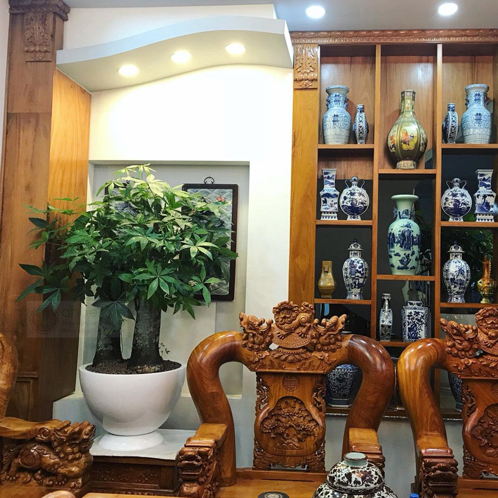 Chậu composite cao cấp Anber 1681 (Trắng bóng)