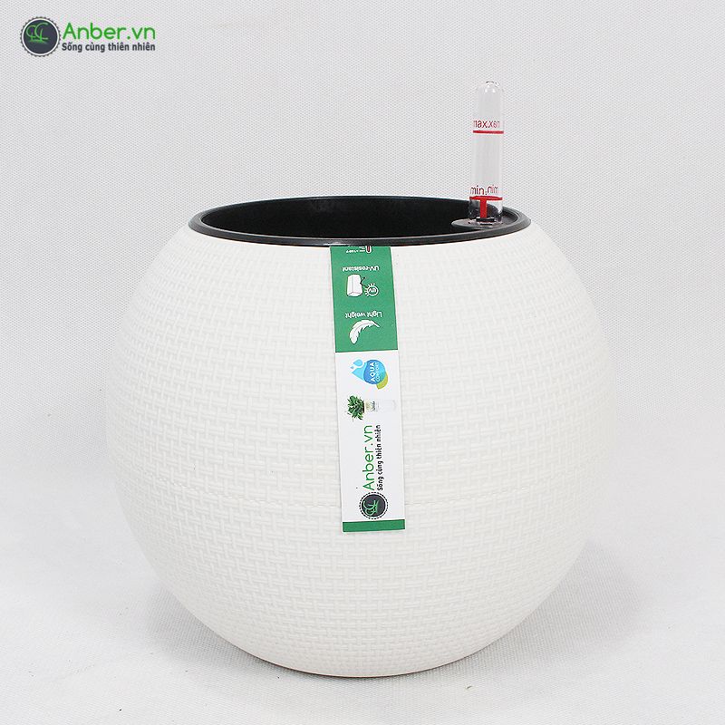 SALE Chậu cây để bàn cao cấp Venice + Tự tưới AWS