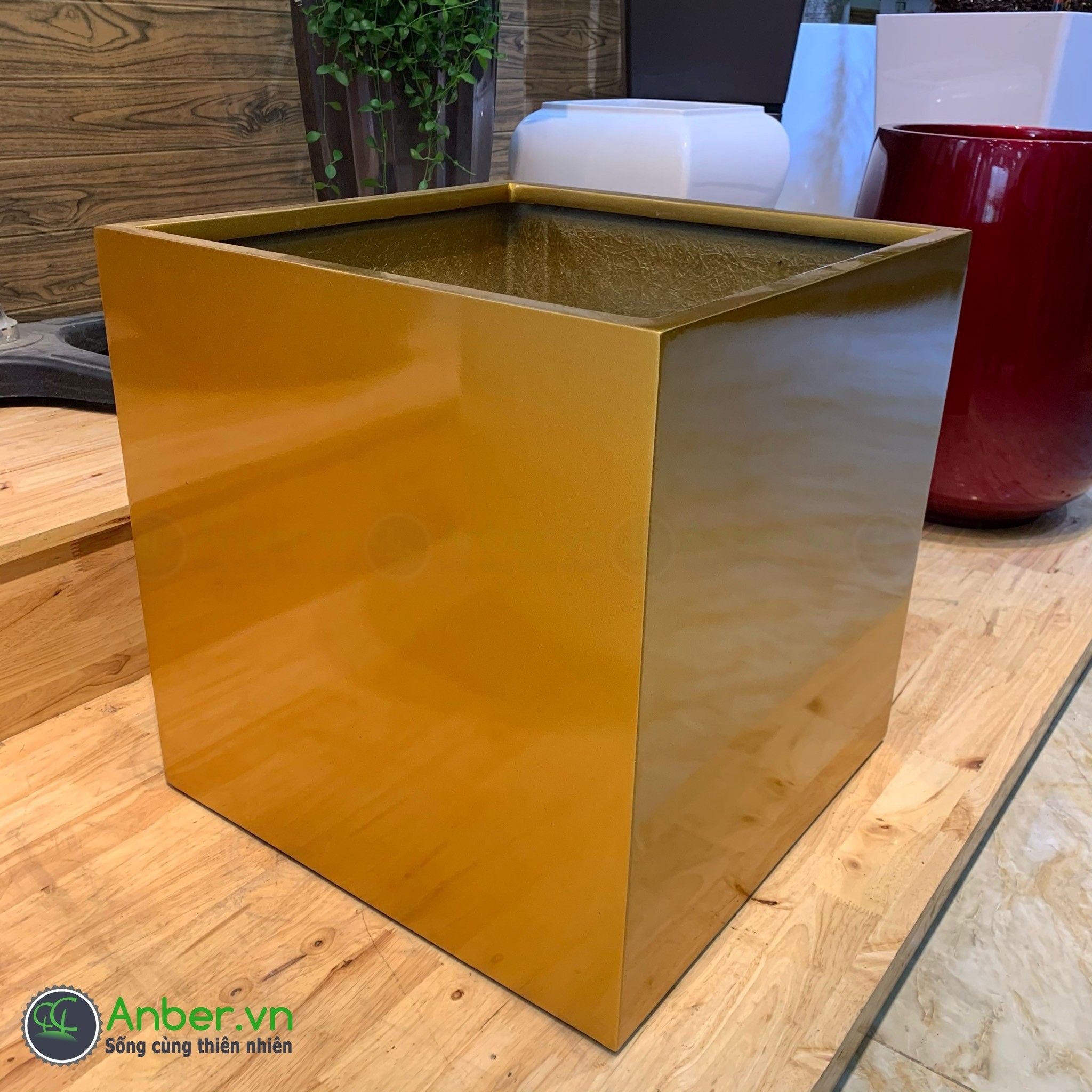 SALE Chậu composite cao cấp Anber 1055 (Vàng Gold)