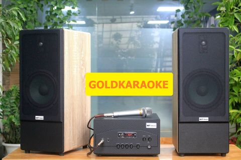 11 Combo Dàn loa Hát Karaoke, GoldKaraoke, GoldAcoustic giá tốt nhất năm 2021