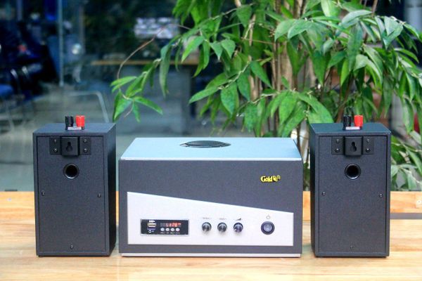 Loa nhà hàng: Gold4cafe (từ 20-30m2): 02 Loa vệ tinh V15C - 15w + 1 Âm ly A150 150w