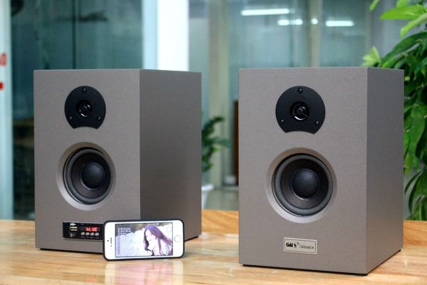 Loa HIFI W82