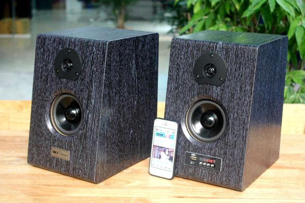 Loa HIFI W81