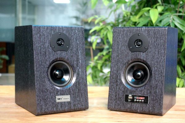 Loa HIFI W81