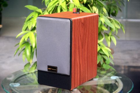 Loa cafe, Loa nhà hàng: Loa vệ tinh V31 Goldsound - công suất 40w (1 loa)