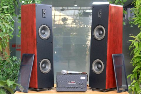 Dàn karaoke gia đình: V300 (01 amply A900w + 02 loa karaoke V300+ 01 Micro)