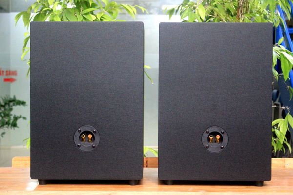 Loa Acoustic, hội trường V230_DA Goldsound (Số lượng 1 loa) công suất 200w, loa bass 25 cm, treble 10 cm, kích thước rộng 32 cm, cao 47 cm, sâu 31 cm, bảo hành dài hạn 5 năm.