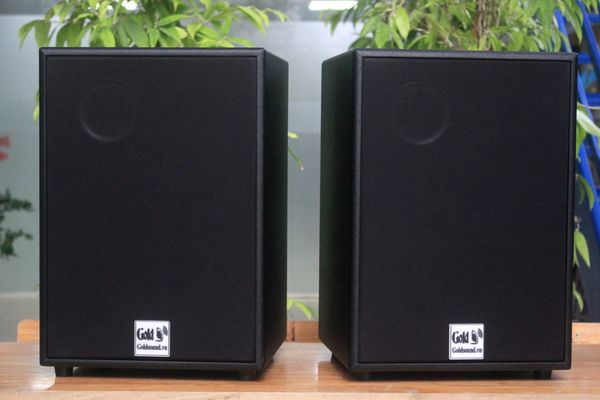 Loa Acoustic, hội trường V230_TH Goldsound (Số lượng 1 loa) công suất 200w, loa bass 25 cm, treble 10 cm, kích thước rộng 32 cm, cao 47 cm, sâu 31 cm, bảo hành dài hạn 5 năm.