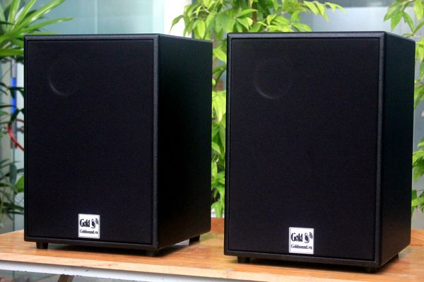 Loa Acoustic, hội trường V230 Goldsound (Số lượng 1 loa) công suất 200w, loa bass 25 cm, treble 10 cm, kích thước rộng 32 cm, cao 47 cm, sâu 31 cm, bảo hành dài hạn 5 năm.