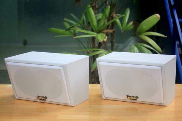 Loa vệ tinh sân vườn Goldsound V50NT - PU (ngoài trời), công suất 50w, thiết kế chống nước, loa Bass 4 inch, Tress 3 inch, kích thước rộng 26 cm, cao 17 cm, sâu 20 cm, phủ da PVC trắng. Bảo hành 12 tháng