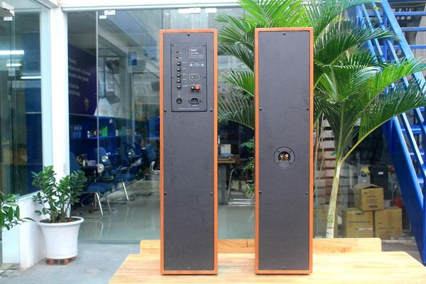 Dàn karaoke gia đình: W250 (đã tích hợp amply)