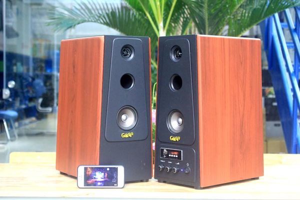 Loa HiFi W120