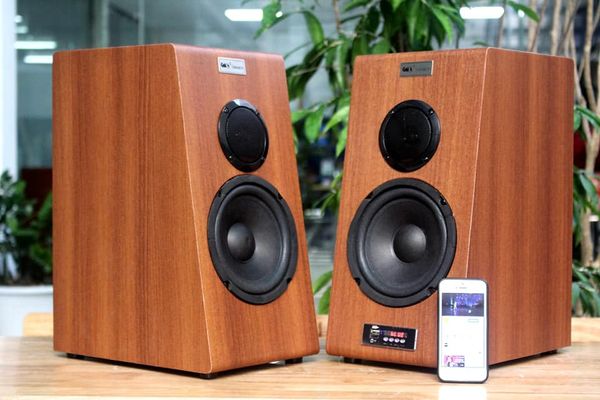 Loa HIFI W128