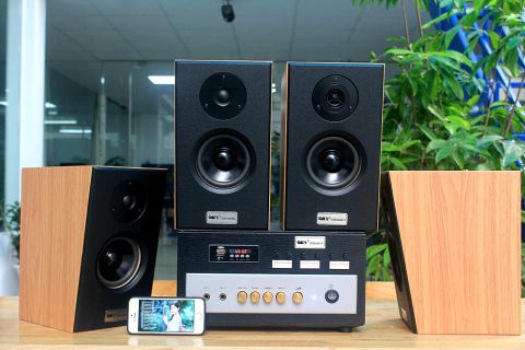 Loa cafe, Loa nhà hàng: Gold4cafe V51 từ ( 40 - 100m2): (01 âm ly A400 và 04 loa V51)