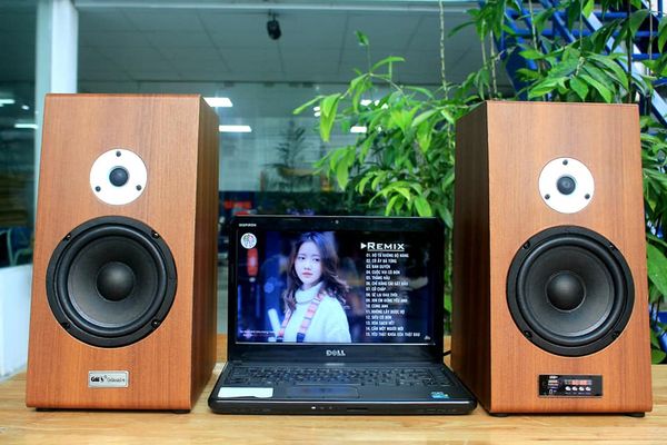 Loa HIFI W128