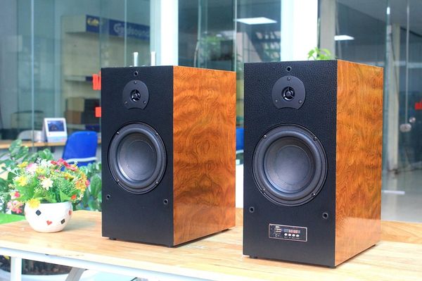 Loa HIFI W167