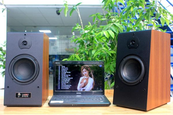 Loa HIFI W168