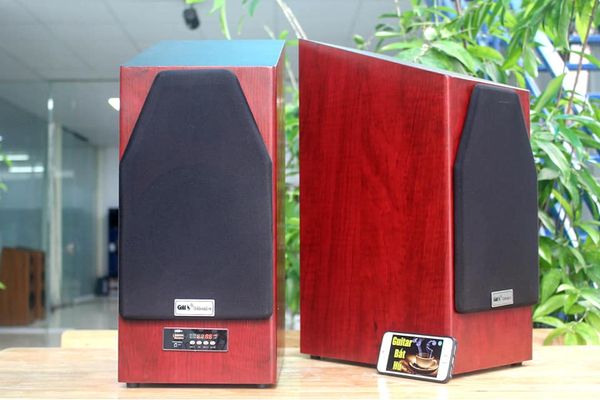 Loa HIFI W166