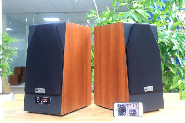 Loa HIFI W168