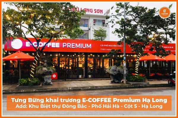 Hệ thống âm thanh cho E-COFFEE Premium Cột 5 TP Hạ Long, Amply 4 - 6 vùng âm lượng, loa được thiết kế riêng cho quán, bật lớn không tạp âm, miễn phí công lắp đặt, bảo hành dài hạn 5 năm.