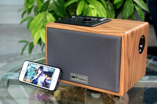 Loa Hifi thùng gỗ W100