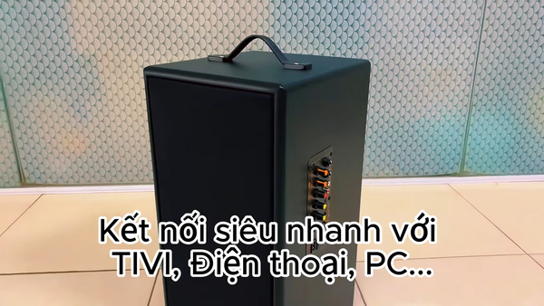 Loa di động D165PU-PI  (tặng kèm 1 micro)