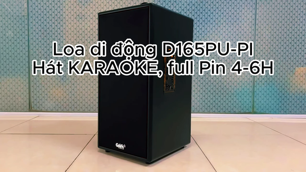 Loa di động D165PU-PI  (tặng kèm 1 micro)