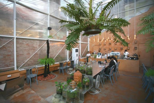 Loa cho quán cafe Tropical Forest, Mai Hắc Đế , Amply 4 - 6 vùng âm lượng, loa được thiết kế riêng cho quán, bật lớn không tạp âm, miễn phí công lắp đặt, bảo hành dài hạn 5 năm.