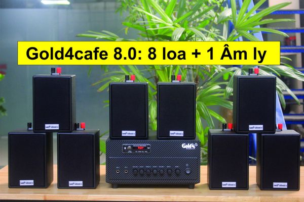 [Diện tích 120m2 + 2 Kênh] Gold4cafe 8.0 (01 amply + 08 loa treo tường), Amply 4 - 6 vùng âm lượng, loa được thiết kế riêng cho quán, bật lớn không tạp âm, miễn phí công lắp đặt, bảo hành dài hạn 5 năm.